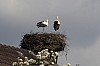 bild 1 - (c) r pattke.jpg